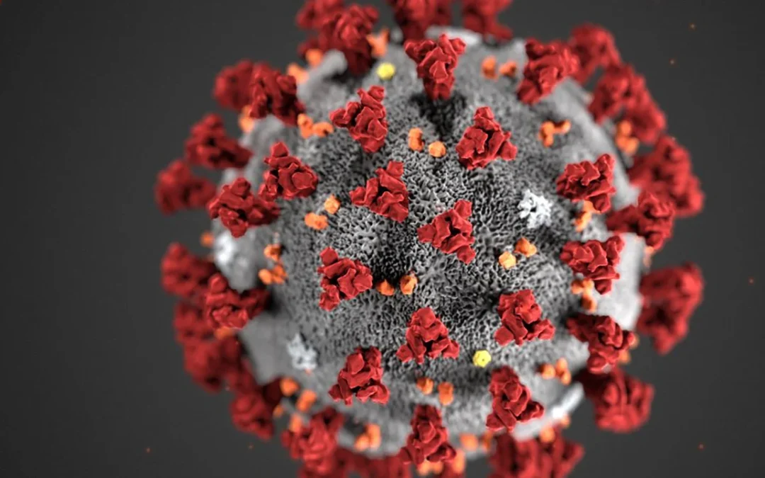 Ministério da Saúde confirma primeiro caso da nova variante Éris da covid-19 no Brasil