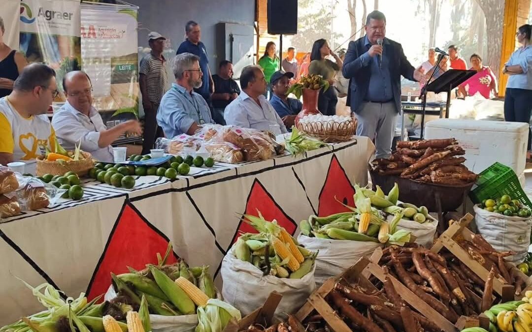 Programas de compras públicas aumentam a renda de agricultores familiares em até 106%, aponta Ipea