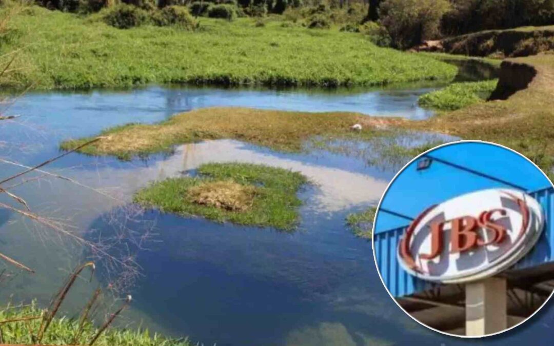 Juíza manda perita explicar laudo que livra JBS de poluir córrego turístico em MS