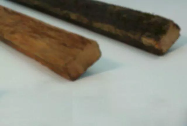 Mulher é agredida com paulada e mordida no rosto pelo ex em Campo Grande