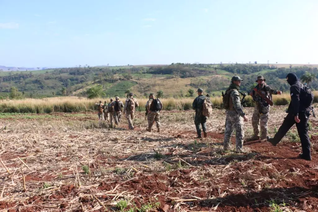Brasil e Paraguai destroem quase 600 toneladas de maconha em roças na fronteira com MS