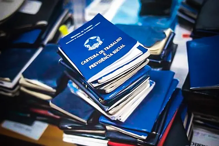 Desvendando o Enigma do Mercado de Trabalho Brasileiro